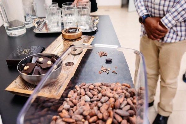 20 chocolate - the chocolate that will delight you at first bite