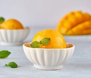 tasty dilemma: ice cream sorbet or granita which to choose