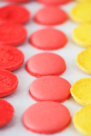 Macarons confectionery set