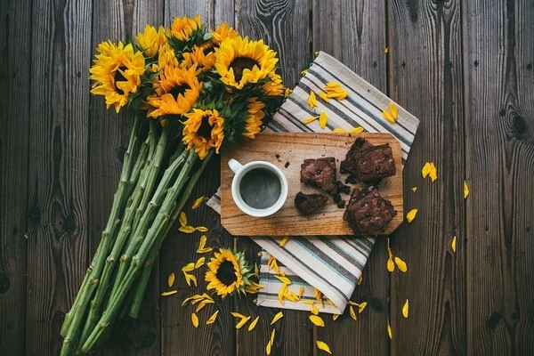 chocolate brownies