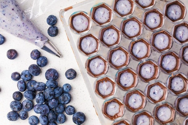 white chocolate truffles with blueberries